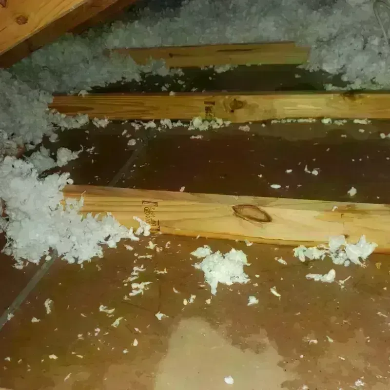 Attic Water Damage in Forsyth County, NC