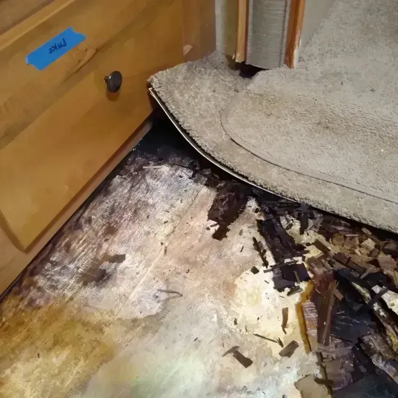 Wood Floor Water Damage in Forsyth County, NC